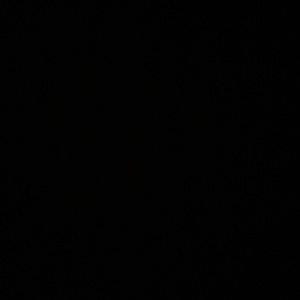 Meet your Posher, Amelia